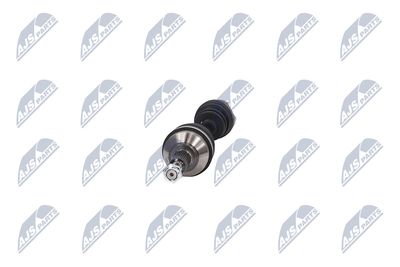 PLANETARA NTY NPWCH034 16