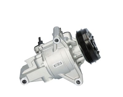 KOMPRESSOR KLIMAANLAGE VALEO 699497 12