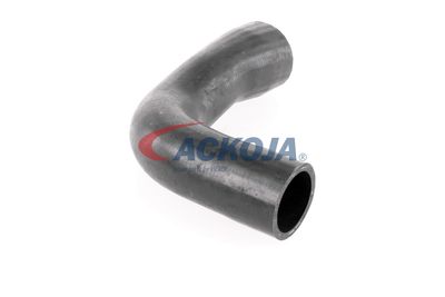 FURTUN EAR SUPRAALIMENTARE ACKOJA A389600 47