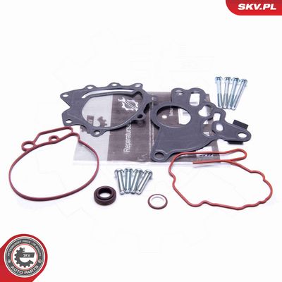 SET REPARATIE POMPA VACUUM (SISTE FRANA)