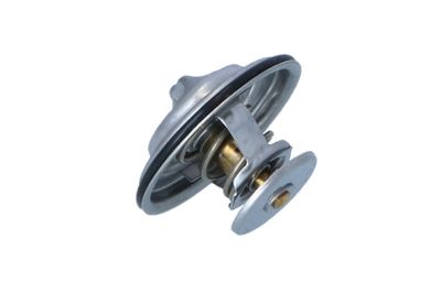 TERMOSTAT LICHID RACIRE NRF 725070 11