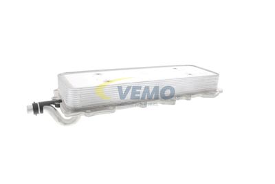 RADIATOR ULEI ULEI MOTOR VEMO V48600024 56
