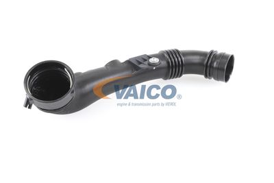 ANSAUGSCHLAUCH LUFTFILTER VAICO V203973 56