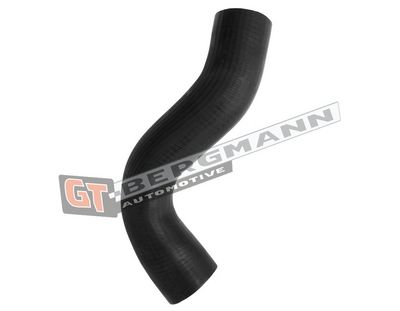 GT-BERGMANN Automotive Kompresoriaus padavimo žarna