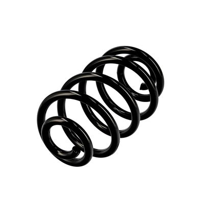ARC SPIRAL EIBACH R10050 3