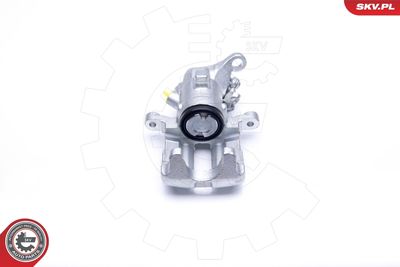 Brake Caliper 45SKV213