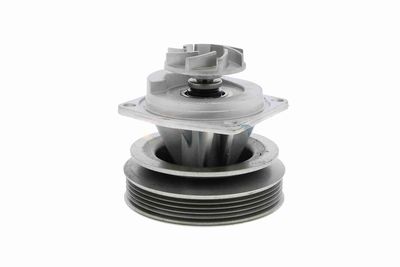 POMPă DE APă RăCIRE MOTOR VAICO V2450009 6