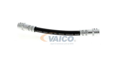 FURTUN FRANA VAICO V104114 27