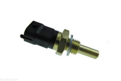 SENZOR TEMPERATURA LICHID DE RACIRE