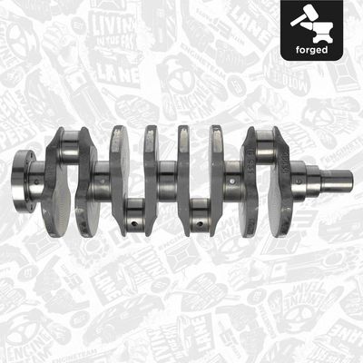 ARBORE COTIT ET ENGINETEAM HK0205 5