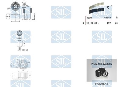 SET POMPA APA + CUREA DINTATA Saleri SIL K6PA1246A1 1