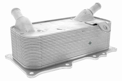 RADIATOR ULEI ULEI MOTOR VEMO V45600006