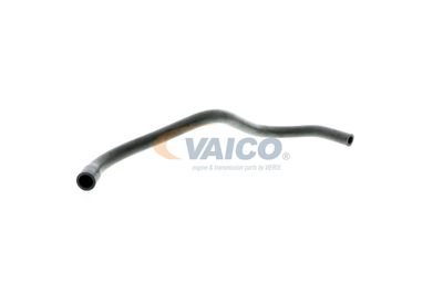 FURTUN AERISIRE CHIULASA VAICO V500065 55