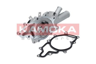 Water Pump, engine cooling T0199