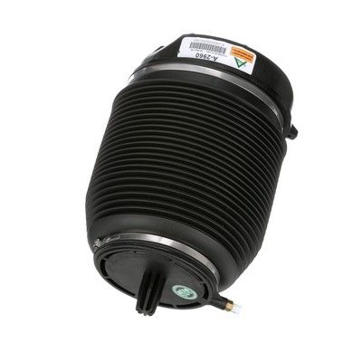 LUFTFEDER FAHRWERK Arnott A2960 71