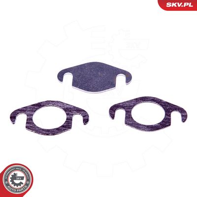 Remonto komplektas, AGR vožtuvas