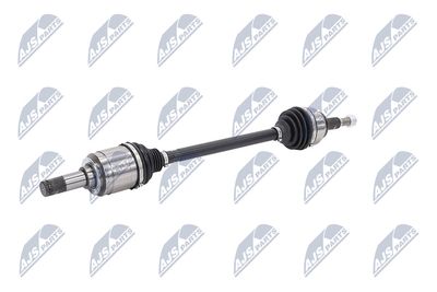 PLANETARA NTY NPWCH126 4