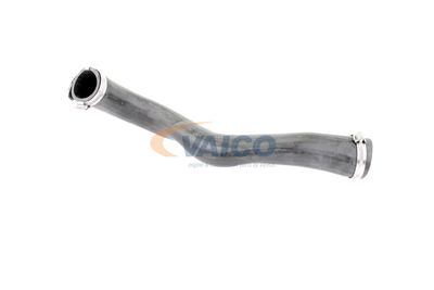 LADELUFTSCHLAUCH VAICO V103817 12