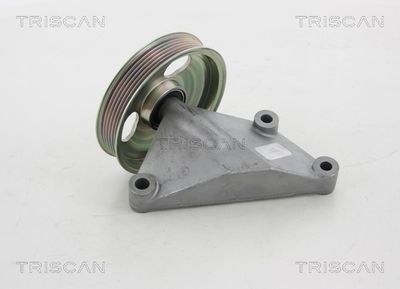 Паразитный / ведущий ролик, поликлиновой ремень TRISCAN 8641 282021 для CITROËN JUMPY