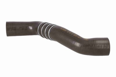FURTUN EAR SUPRAALIMENTARE ACKOJA A380299 2