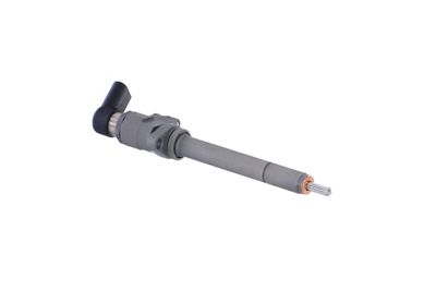 INJECTOR REMANTE 002003000081R 48