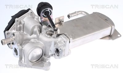 AGR-Ventil TRISCAN 8813 29306