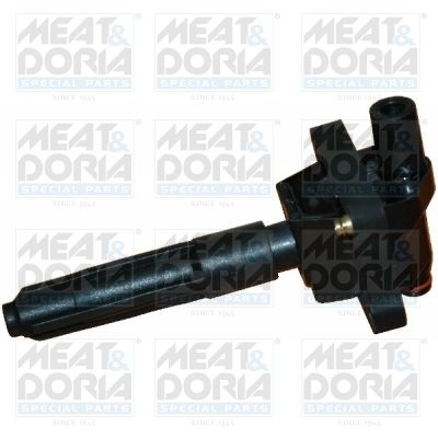 Ignition Coil 10369