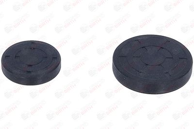 CHIT LANT DE DISTRIBUTIE BIRTH 6501 7