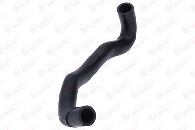 FURTUN ULEI BIRTH 56020 5