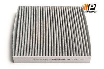 filtras, salono oras 4F0123C ProfiPower