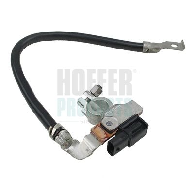 сензор, мениджмънт, акумулатор HOFFER 241006