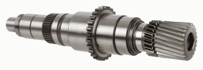 AX PRINCIPAL TRANSMISIE MANUALA ZF 0073301016