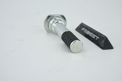 SURUB GHIDARE ETRIER FRANA FEBEST 0874B13LOWF 37