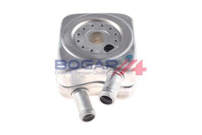 RADIATOR ULEI ULEI MOTOR BOGAP A4222111 3