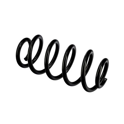ARC SPIRAL EIBACH R10135 21
