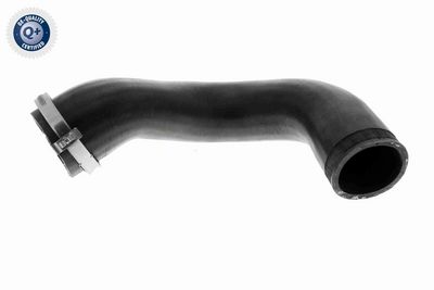 FURTUN EAR SUPRAALIMENTARE VAICO V104816 1