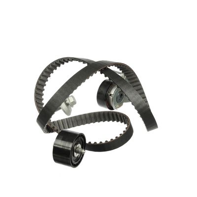 SET CUREA DE DISTRIBUTIE ET ENGINETEAM RM0024 17