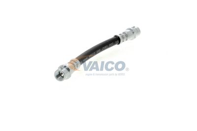 FURTUN FRANA VAICO V104114 42