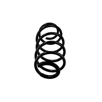ARC SPIRAL EIBACH R10067 1