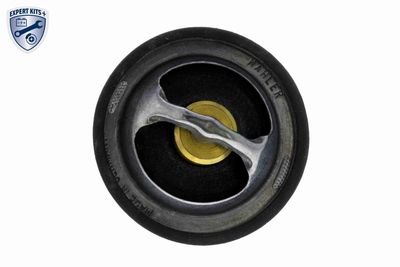 TERMOSTAT LICHID RACIRE VEMO V95990011 3