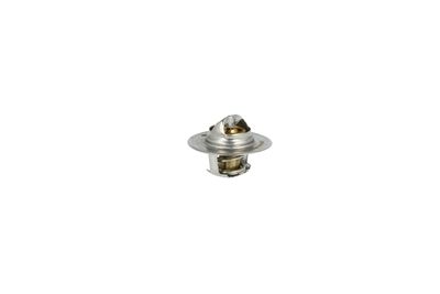 TERMOSTAT LICHID RACIRE NRF 725156 21