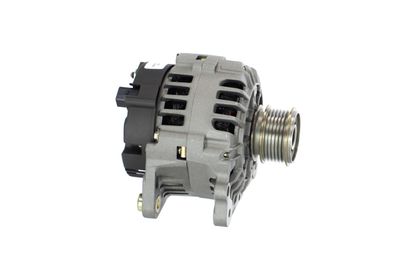 GENERATOR / ALTERNATOR REMANTE 011003000541R 47