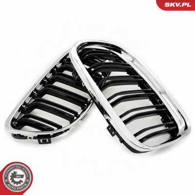 GRILA RADIATOR ESEN SKV 66SKV102 3