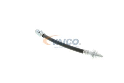 FURTUN FRANA VAICO V404107 41
