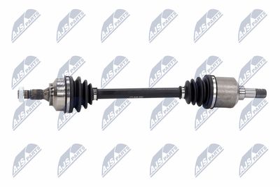 PLANETARA NTY NPWCT008 24