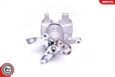 Brake Caliper 46SKV653