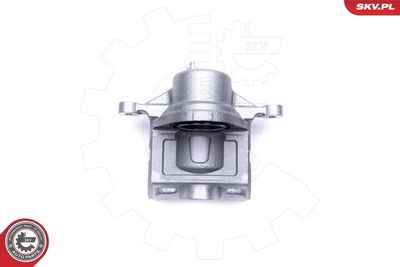 Brake Caliper 46SKV842