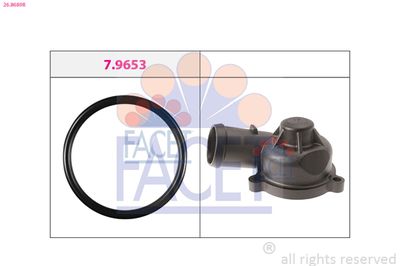 FLANSA LICHID RACIRE