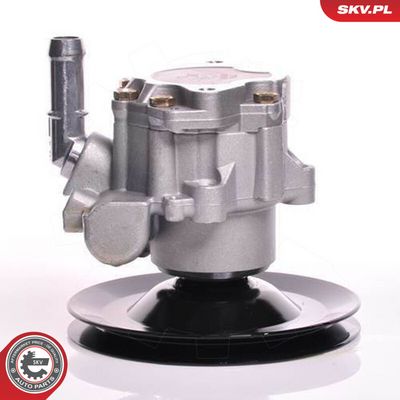 SKV-10SKV169