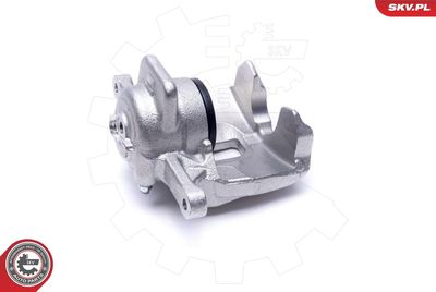 Brake Caliper 55SKV941